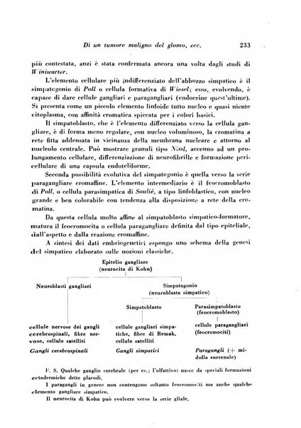 Archivio De Vecchi per l'anatomia patologica e la medicina clinica