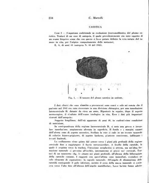 Archivio De Vecchi per l'anatomia patologica e la medicina clinica