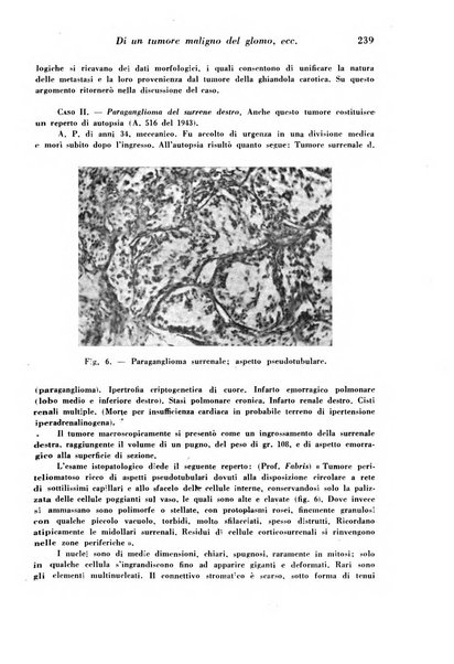 Archivio De Vecchi per l'anatomia patologica e la medicina clinica