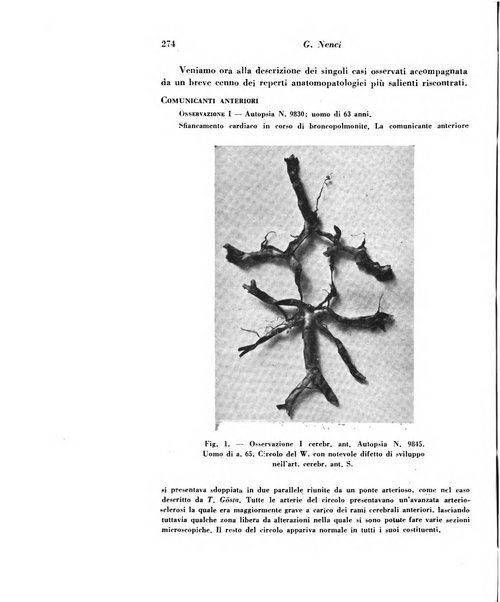 Archivio De Vecchi per l'anatomia patologica e la medicina clinica