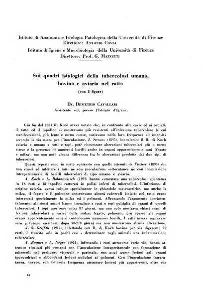 Archivio De Vecchi per l'anatomia patologica e la medicina clinica