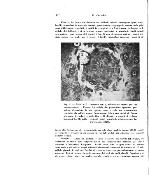 Archivio De Vecchi per l'anatomia patologica e la medicina clinica