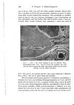 giornale/TO00177004/1945-1946/unico/00000410