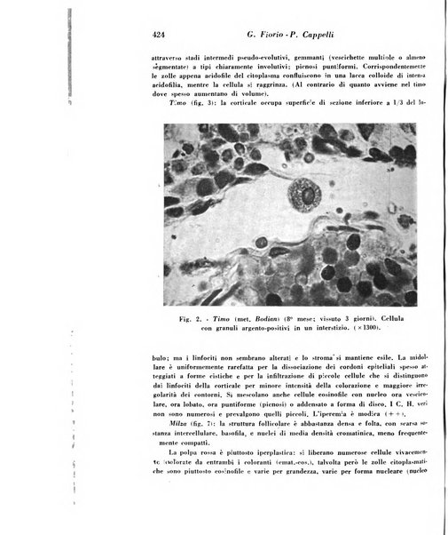 Archivio De Vecchi per l'anatomia patologica e la medicina clinica