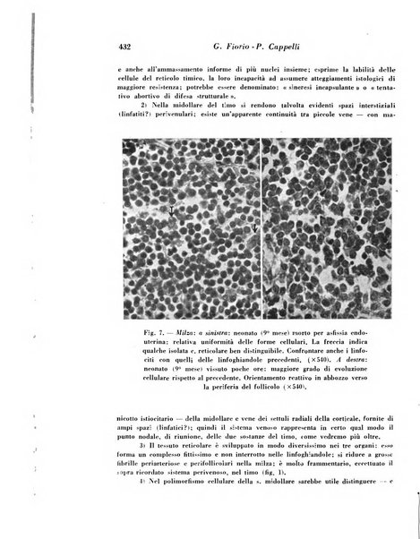 Archivio De Vecchi per l'anatomia patologica e la medicina clinica