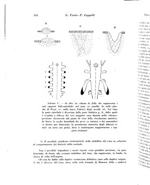 Archivio De Vecchi per l'anatomia patologica e la medicina clinica