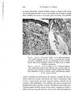 giornale/TO00177004/1945-1946/unico/00000540