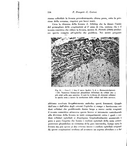 Archivio De Vecchi per l'anatomia patologica e la medicina clinica