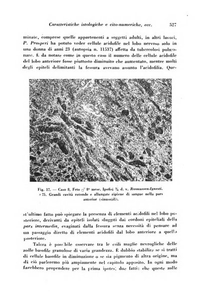 Archivio De Vecchi per l'anatomia patologica e la medicina clinica