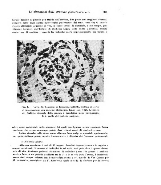 Archivio De Vecchi per l'anatomia patologica e la medicina clinica