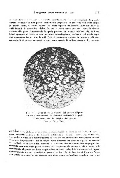 Archivio De Vecchi per l'anatomia patologica e la medicina clinica