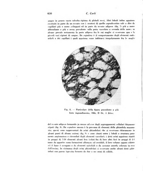 Archivio De Vecchi per l'anatomia patologica e la medicina clinica