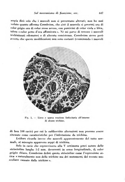 Archivio De Vecchi per l'anatomia patologica e la medicina clinica