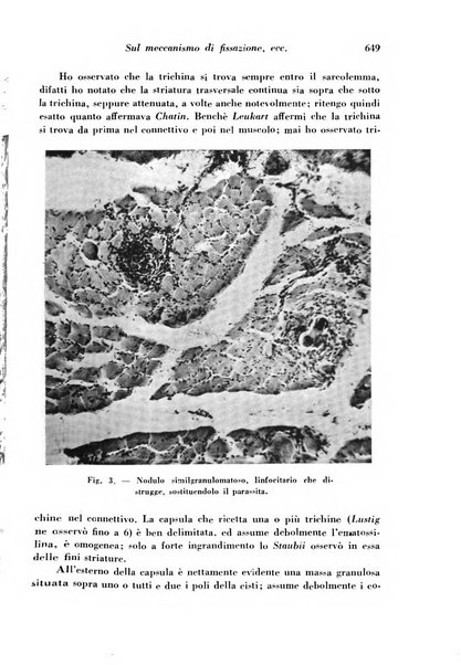 Archivio De Vecchi per l'anatomia patologica e la medicina clinica