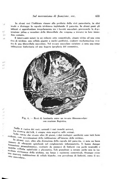 Archivio De Vecchi per l'anatomia patologica e la medicina clinica