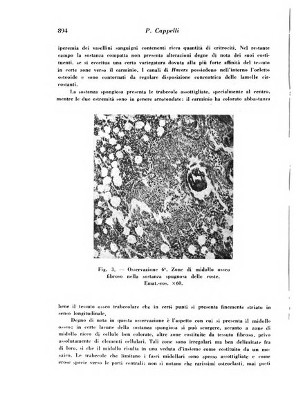 Archivio De Vecchi per l'anatomia patologica e la medicina clinica