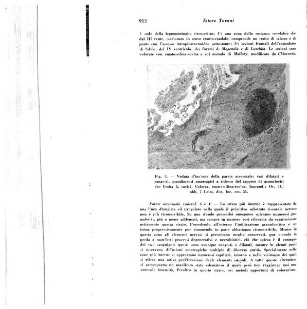 Archivio De Vecchi per l'anatomia patologica e la medicina clinica