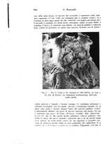 giornale/TO00177004/1945-1946/unico/00001010