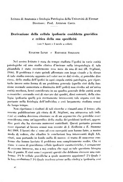 Archivio De Vecchi per l'anatomia patologica e la medicina clinica