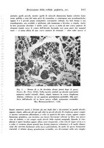 Archivio De Vecchi per l'anatomia patologica e la medicina clinica