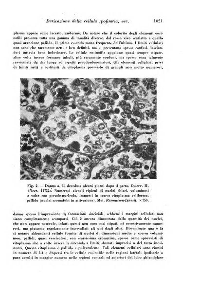 Archivio De Vecchi per l'anatomia patologica e la medicina clinica