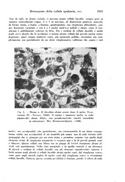 Archivio De Vecchi per l'anatomia patologica e la medicina clinica