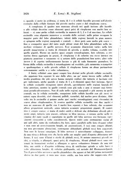 Archivio De Vecchi per l'anatomia patologica e la medicina clinica