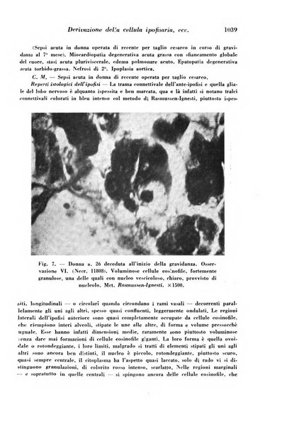 Archivio De Vecchi per l'anatomia patologica e la medicina clinica