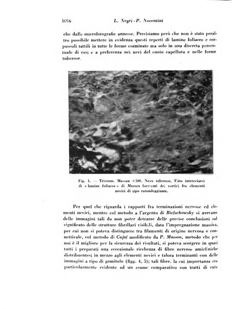 Archivio De Vecchi per l'anatomia patologica e la medicina clinica