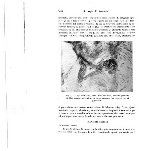 Archivio De Vecchi per l'anatomia patologica e la medicina clinica