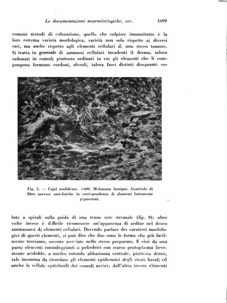 Archivio De Vecchi per l'anatomia patologica e la medicina clinica