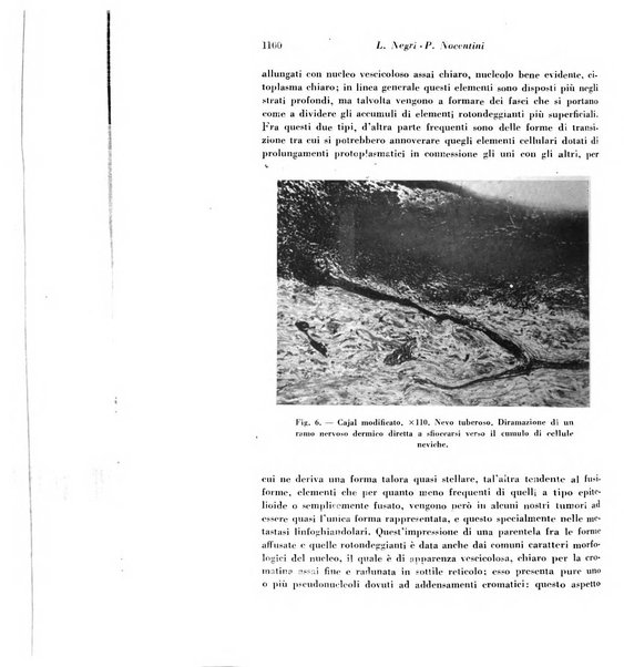 Archivio De Vecchi per l'anatomia patologica e la medicina clinica