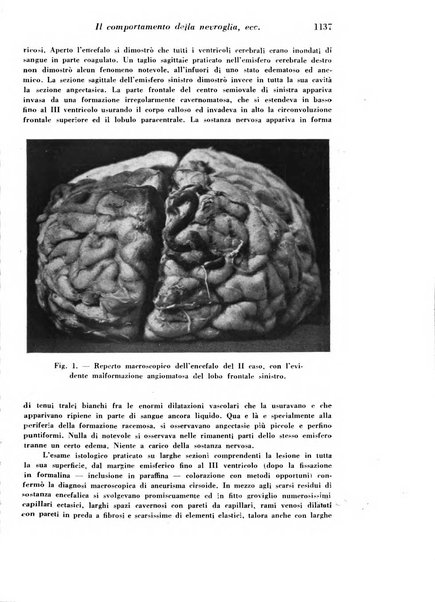 Archivio De Vecchi per l'anatomia patologica e la medicina clinica