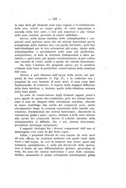 Archivio di antropologia criminale, psichiatria e medicina legale organo ufficiale della Associazione italiana di medicina legale e delle assicurazioni