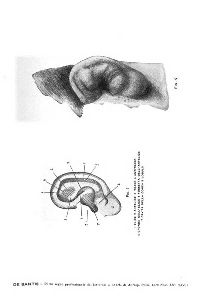 Archivio di antropologia criminale, psichiatria e medicina legale organo ufficiale della Associazione italiana di medicina legale e delle assicurazioni