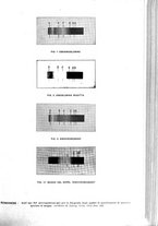 giornale/TO00177017/1914/unico/00000393