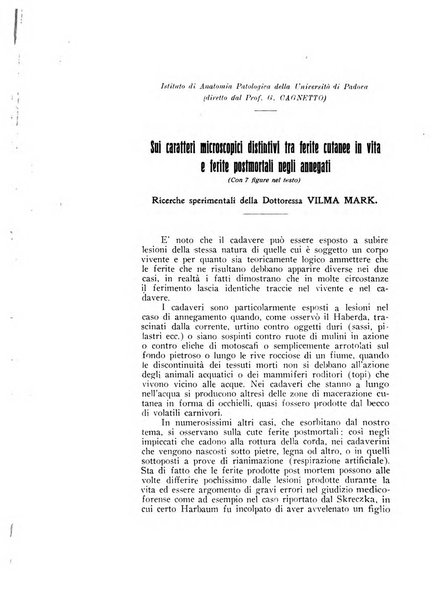 Archivio di antropologia criminale, psichiatria e medicina legale organo ufficiale della Associazione italiana di medicina legale e delle assicurazioni