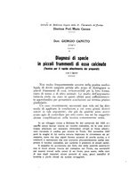 giornale/TO00177017/1927/unico/00001154