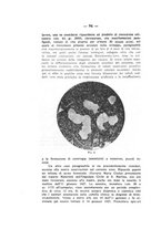 giornale/TO00177017/1928/unico/00000092