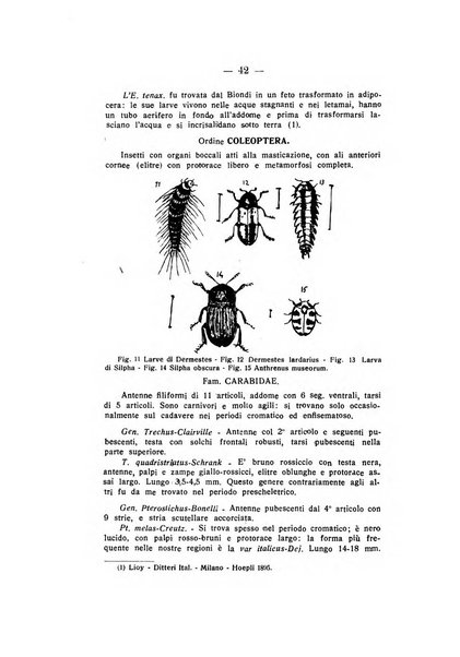 Archivio di antropologia criminale, psichiatria e medicina legale organo ufficiale della Associazione italiana di medicina legale e delle assicurazioni