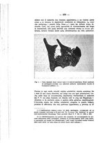 giornale/TO00177017/1929/unico/00000392