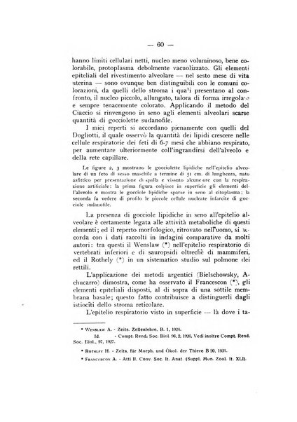 Archivio di antropologia criminale, psichiatria e medicina legale organo ufficiale della Associazione italiana di medicina legale e delle assicurazioni