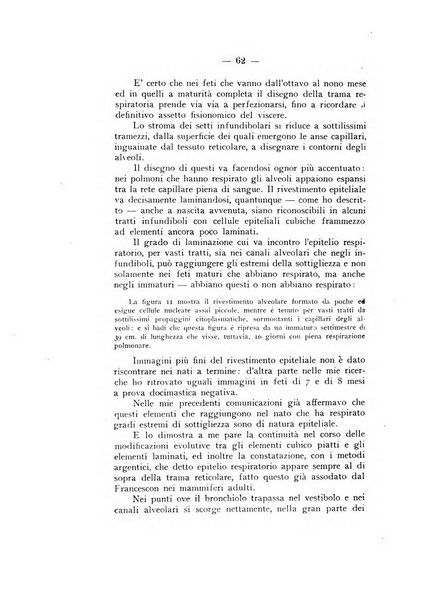 Archivio di antropologia criminale, psichiatria e medicina legale organo ufficiale della Associazione italiana di medicina legale e delle assicurazioni