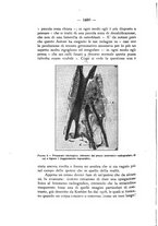 giornale/TO00177017/1933/V.53-Supplemento/00000640