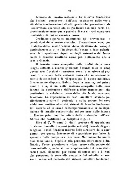 Archivio di antropologia criminale, psichiatria e medicina legale organo ufficiale della Associazione italiana di medicina legale e delle assicurazioni