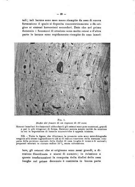 Archivio di antropologia criminale, psichiatria e medicina legale organo ufficiale della Associazione italiana di medicina legale e delle assicurazioni