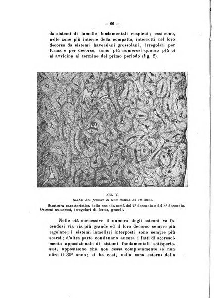 Archivio di antropologia criminale, psichiatria e medicina legale organo ufficiale della Associazione italiana di medicina legale e delle assicurazioni