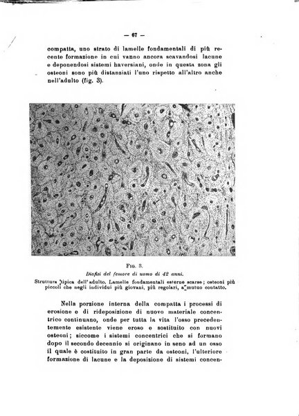 Archivio di antropologia criminale, psichiatria e medicina legale organo ufficiale della Associazione italiana di medicina legale e delle assicurazioni