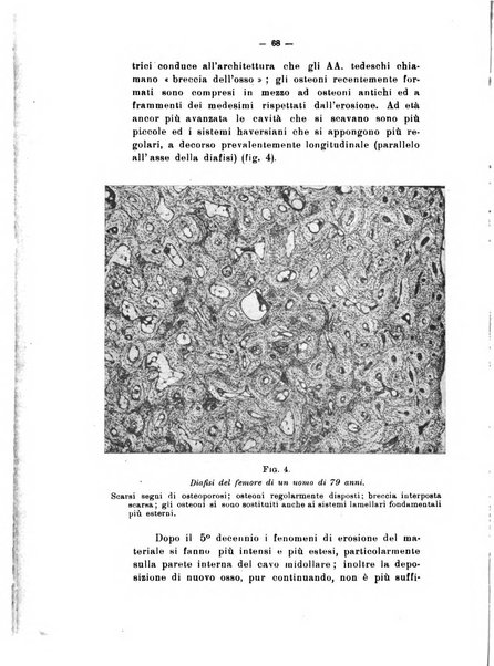 Archivio di antropologia criminale, psichiatria e medicina legale organo ufficiale della Associazione italiana di medicina legale e delle assicurazioni