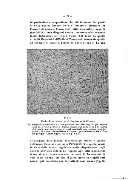 Archivio di antropologia criminale, psichiatria e medicina legale organo ufficiale della Associazione italiana di medicina legale e delle assicurazioni